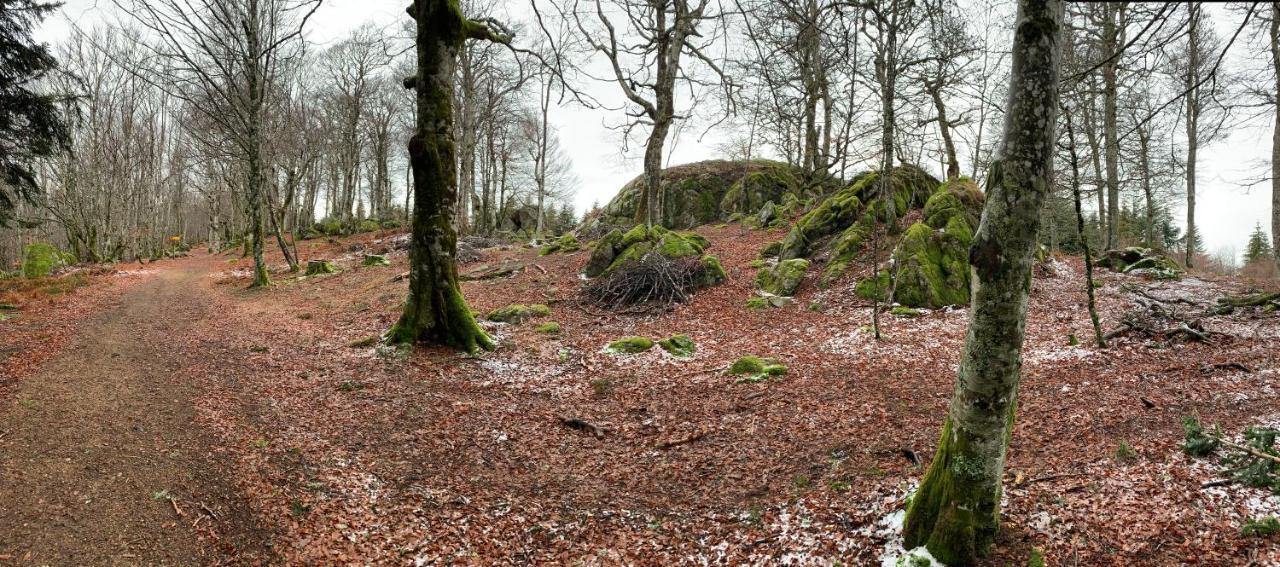 مبيت وإفطار Ouches Domaine Berenguer المظهر الخارجي الصورة